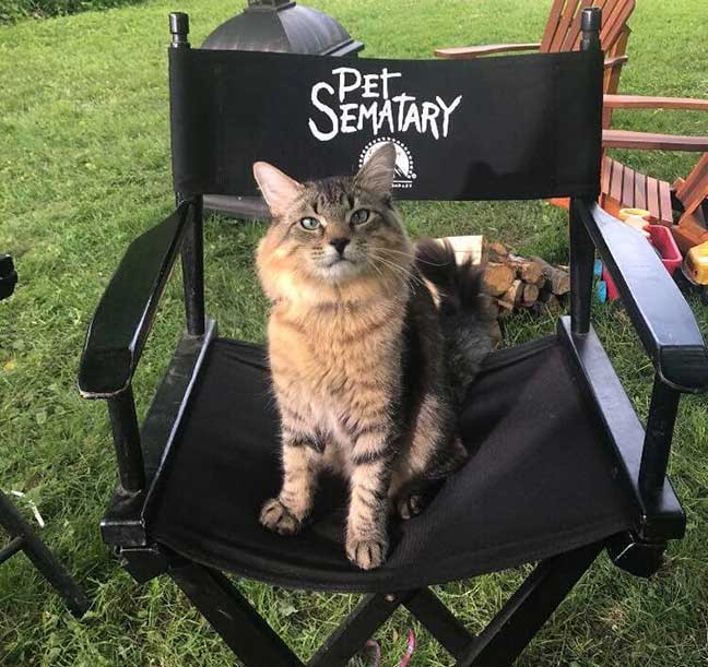 Animal Actor Classes